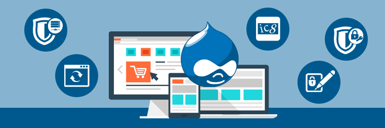 Drupal Development Company