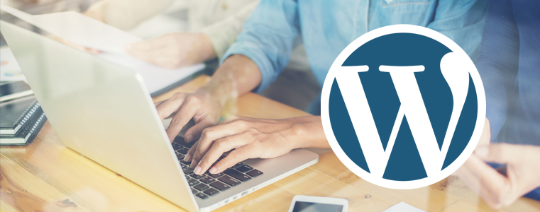 WordPress website development