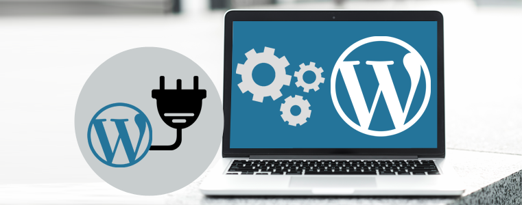 WordPress Plugin Development 