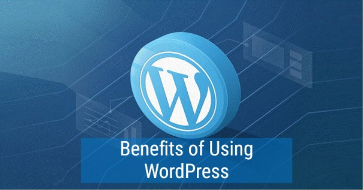 WordPress CMS