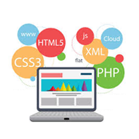 Web Application Development Solution