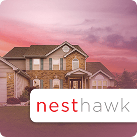 Nesthawk Portfolio