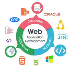 Custom Web Application Development Solution