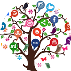 Social Networking Solution